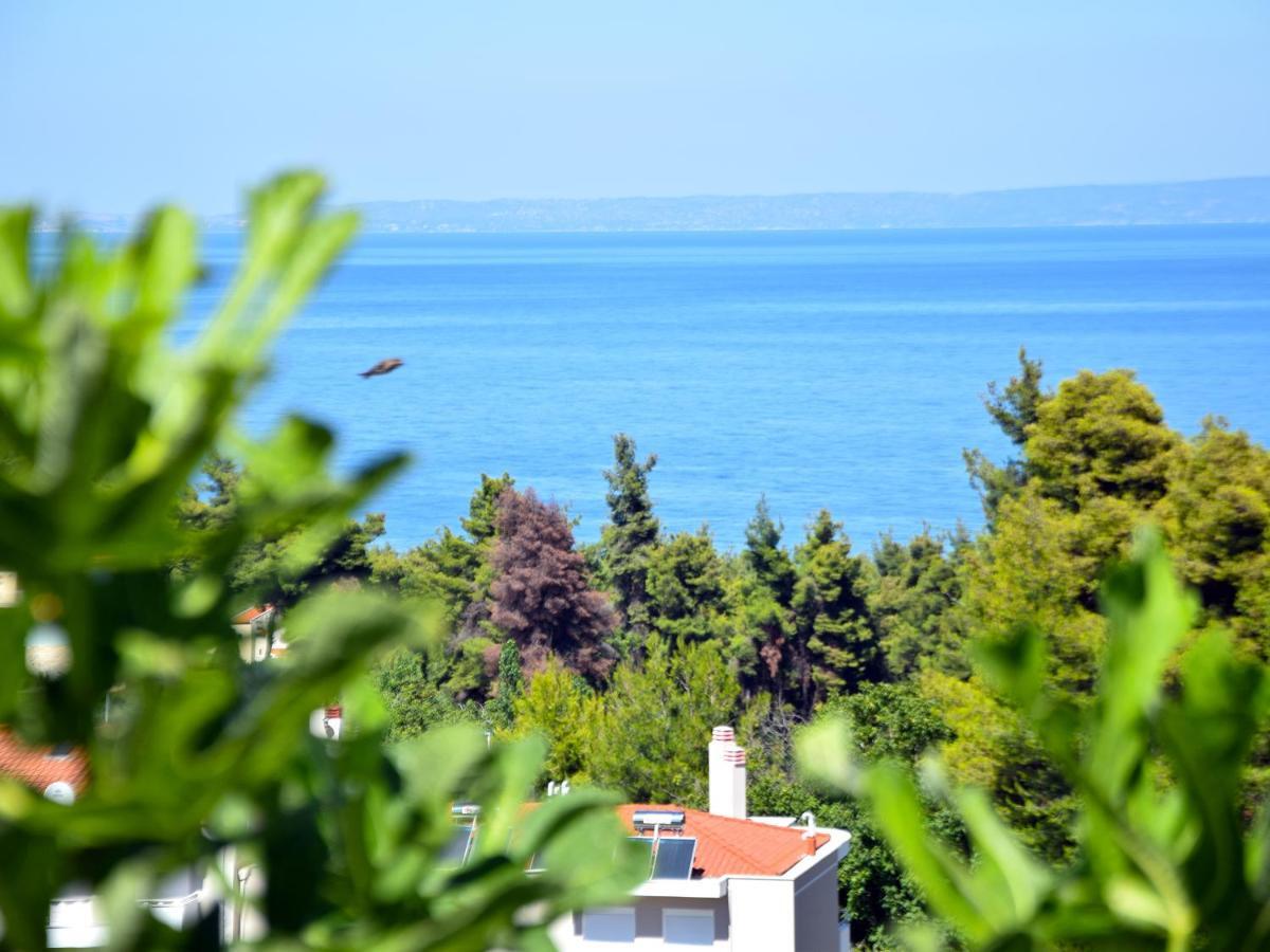 Seaview Studios קריופיגי מראה חיצוני תמונה